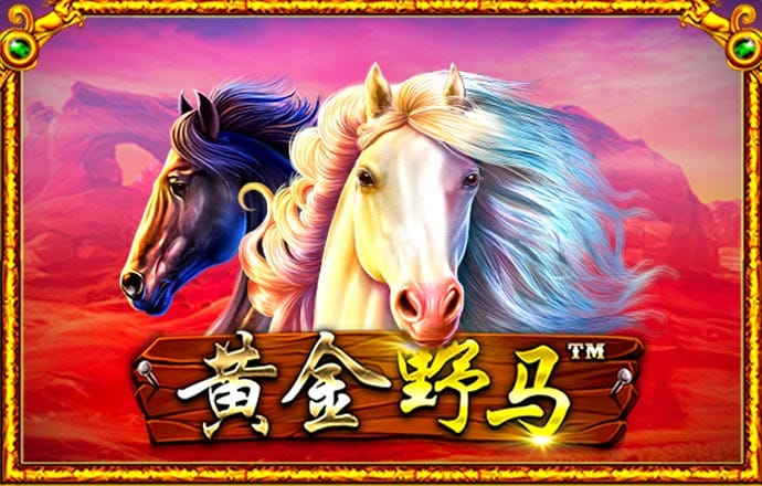 澳门今晚必中一肖
